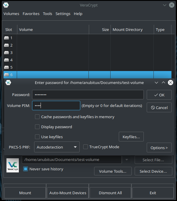 veracrypt_mount